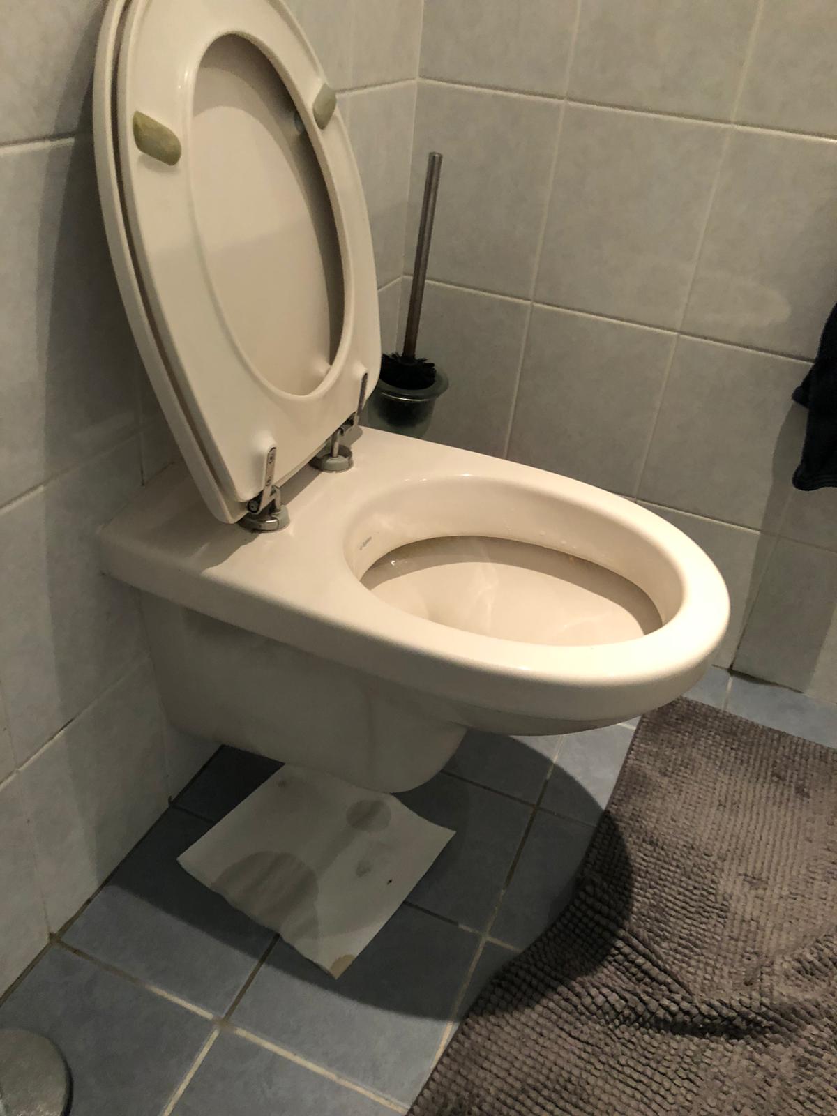 hangtoilet Hazerswoude-Dorp